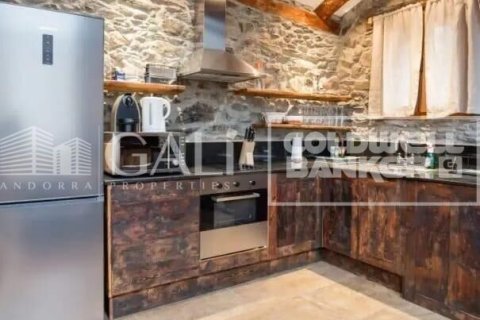2 bedrooms house for rent in Principado De Andorra (Ninguna Poblacion Tiene C.P.), Lleida, Catalonia, Spain № 8008 - photo 2