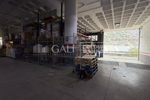 Propiedad comercial de 1900 m² en alquiler en Principado De Andorra (Ninguna Poblacion Tiene C.P.), Lérida, Cataluña, Spain № 8010 - foto 12
