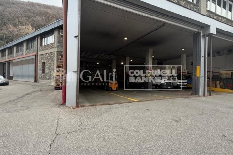 Propiedad comercial de 1900 m² en alquiler en Principado De Andorra (Ninguna Poblacion Tiene C.P.), Lérida, Cataluña, Spain № 8010 - foto 5