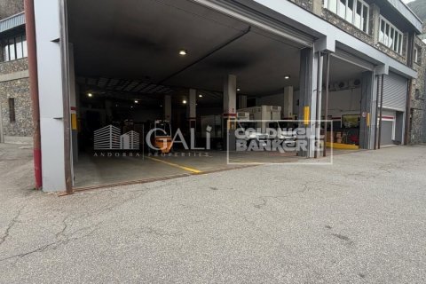 Propiedad comercial de 1900 m² en alquiler en Principado De Andorra (Ninguna Poblacion Tiene C.P.), Lérida, Cataluña, Spain № 8010 - foto 7
