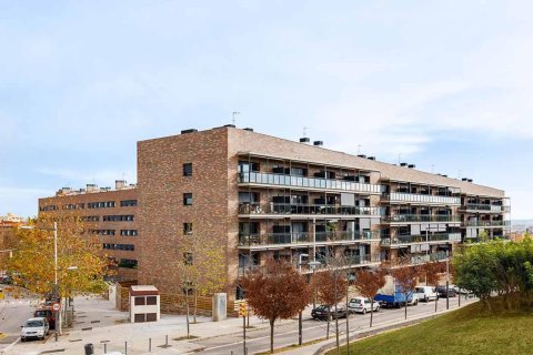 Terram en Barcelona № 253