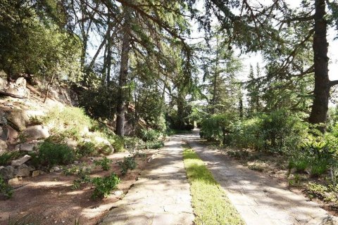 12 bedrooms house for sale in Barcelona, Catalonia, Spain № 7662 - photo 29