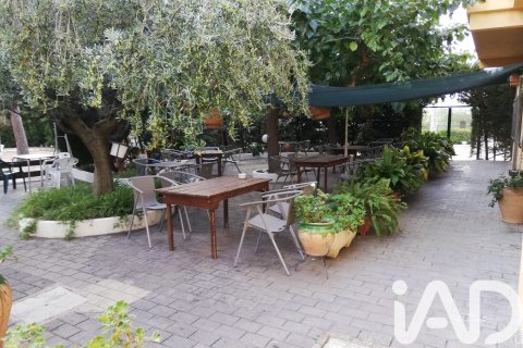 981 sq.m. commercial property for sale in Tivissa, Tarragona, Catalonia, Spain № 7497 - photo 22