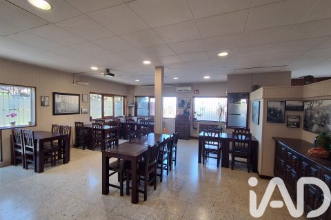 981 sq.m. commercial property for sale in Tivissa, Tarragona, Catalonia, Spain № 7497 - photo 7