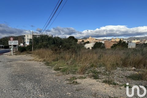 9234 sq.m. land plot for sale in Mont-roig del Camp, Tarragona, Catalonia, Spain № 4977 - photo 5
