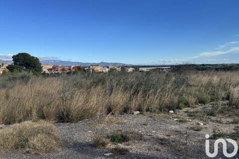 9234 sq.m. land plot for sale in Mont-roig del Camp, Tarragona, Catalonia, Spain № 4977 - photo 4