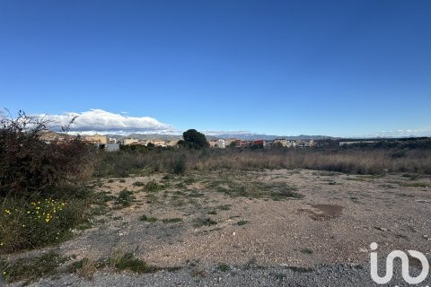 9234 sq.m. land plot for sale in Mont-roig del Camp, Tarragona, Catalonia, Spain № 4977 - photo 2