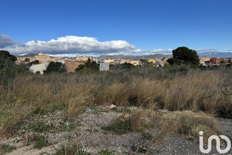 9234 sq.m. land plot for sale in Mont-roig del Camp, Tarragona, Catalonia, Spain № 4977 - photo 3