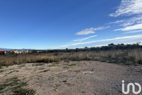 Parcela de 9234 m² en venta en Mont-roig del Camp, Tarragona, Cataluña, Spain № 4977