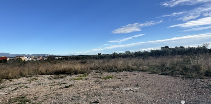 9234 sq.m. land plot for sale in Mont-roig del Camp, Tarragona, Catalonia, Spain № 4977