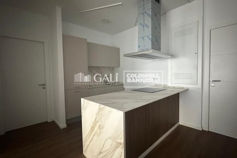 Apartamento de 1 dormitorio en alquiler en Principado De Andorra (Ninguna Poblacion Tiene C.P.), Lérida, Cataluña, Spain № 7701 - foto 6