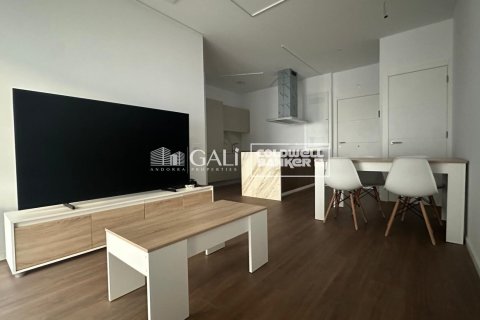 Apartamento de 1 dormitorio en alquiler en Principado De Andorra (Ninguna Poblacion Tiene C.P.), Lérida, Cataluña, Spain № 7701 - foto 7