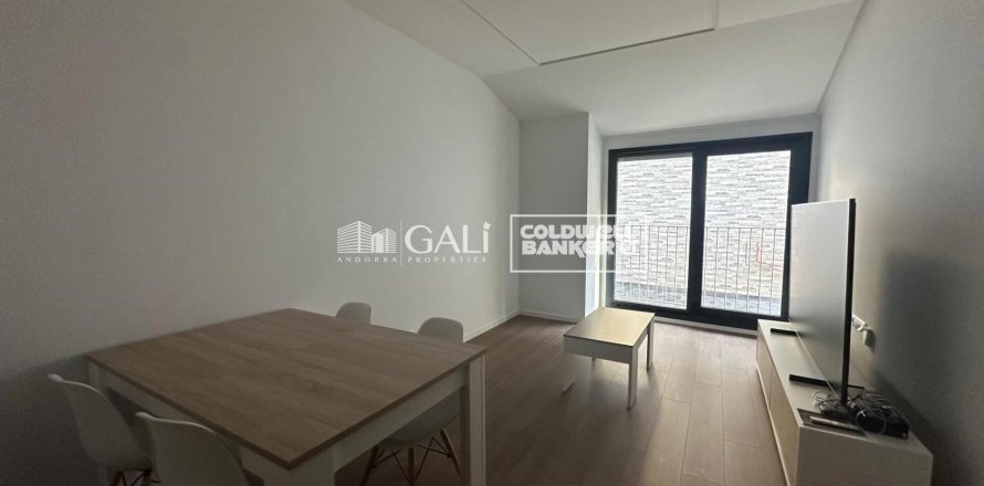 Apartamento de 1 dormitorio en alquiler en Principado De Andorra (Ninguna Poblacion Tiene C.P.), Lérida, Cataluña, Spain № 7701