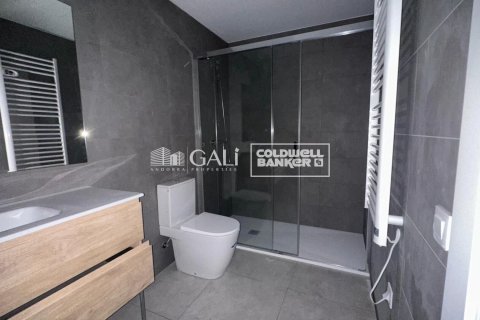Apartamento de 1 dormitorio en alquiler en Principado De Andorra (Ninguna Poblacion Tiene C.P.), Lérida, Cataluña, Spain № 7701 - foto 3