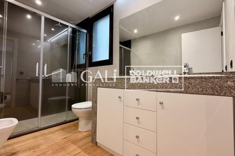 4 bedrooms apartment for rent in Principado De Andorra (Ninguna Poblacion Tiene C.P.), Lleida, Catalonia, Spain № 7698 - photo 26