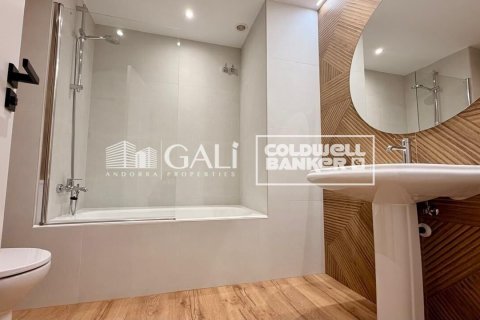 4 bedrooms apartment for rent in Principado De Andorra (Ninguna Poblacion Tiene C.P.), Lleida, Catalonia, Spain № 7698 - photo 23