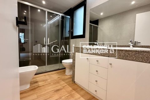 4 bedrooms apartment for rent in Principado De Andorra (Ninguna Poblacion Tiene C.P.), Lleida, Catalonia, Spain № 7698 - photo 25