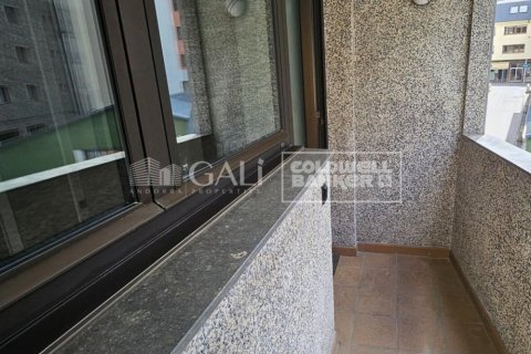 4 bedrooms apartment for rent in Principado De Andorra (Ninguna Poblacion Tiene C.P.), Lleida, Catalonia, Spain № 7698 - photo 20
