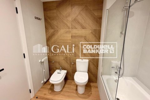 4 bedrooms apartment for rent in Principado De Andorra (Ninguna Poblacion Tiene C.P.), Lleida, Catalonia, Spain № 7698 - photo 22