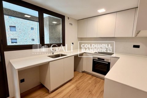 4 bedrooms apartment for rent in Principado De Andorra (Ninguna Poblacion Tiene C.P.), Lleida, Catalonia, Spain № 7698 - photo 9
