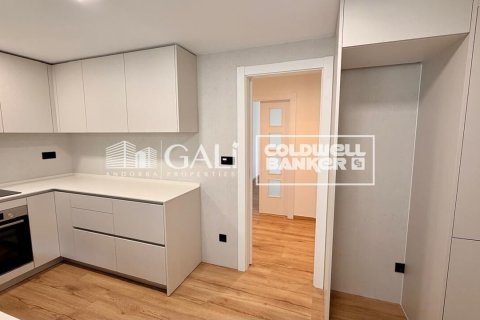 4 bedrooms apartment for rent in Principado De Andorra (Ninguna Poblacion Tiene C.P.), Lleida, Catalonia, Spain № 7698 - photo 8