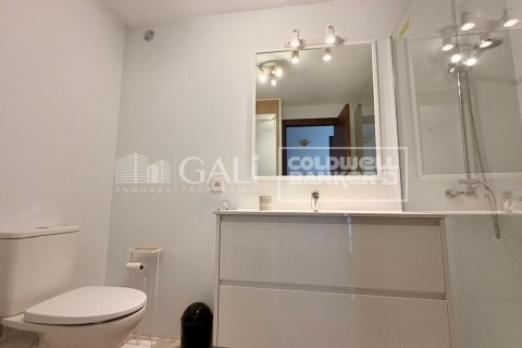 Apartamento de 4 dormitorios en alquiler en Principado De Andorra (Ninguna Poblacion Tiene C.P.), Lérida, Cataluña, Spain № 7700 - foto 7