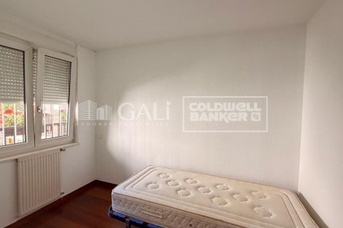 Apartamento de 4 dormitorios en alquiler en Principado De Andorra (Ninguna Poblacion Tiene C.P.), Lérida, Cataluña, Spain № 7700 - foto 10