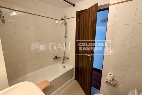 Apartamento de 4 dormitorios en alquiler en Principado De Andorra (Ninguna Poblacion Tiene C.P.), Lérida, Cataluña, Spain № 7700 - foto 4