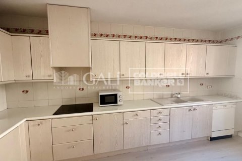 Apartamento de 4 dormitorios en alquiler en Principado De Andorra (Ninguna Poblacion Tiene C.P.), Lérida, Cataluña, Spain № 7700 - foto 17