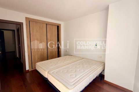 Apartamento de 4 dormitorios en alquiler en Principado De Andorra (Ninguna Poblacion Tiene C.P.), Lérida, Cataluña, Spain № 7700 - foto 12