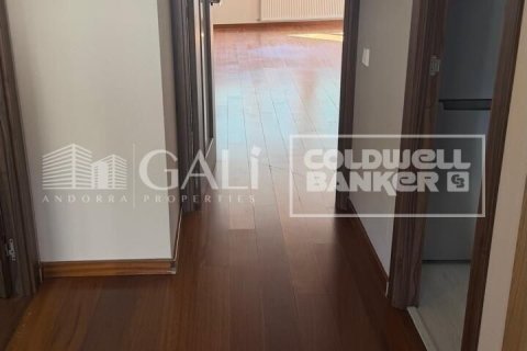 Apartamento de 4 dormitorios en alquiler en Principado De Andorra (Ninguna Poblacion Tiene C.P.), Lérida, Cataluña, Spain № 7700 - foto 3