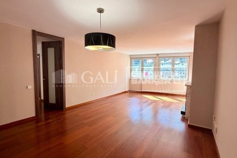 Apartamento de 4 dormitorios en alquiler en Principado De Andorra (Ninguna Poblacion Tiene C.P.), Lérida, Cataluña, Spain № 7700 - foto 21