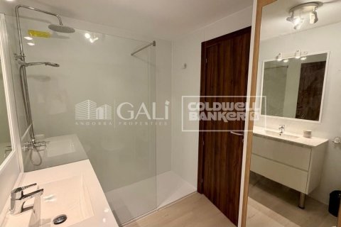 Apartamento de 4 dormitorios en alquiler en Principado De Andorra (Ninguna Poblacion Tiene C.P.), Lérida, Cataluña, Spain № 7700 - foto 6