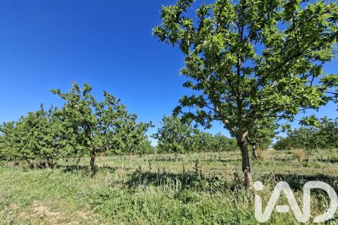 Propiedad comercial en venta en Ulldecona, Tarragona, Cataluña, Spain № 7428 - foto 20