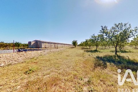 Propiedad comercial en venta en Ulldecona, Tarragona, Cataluña, Spain № 7428 - foto 6