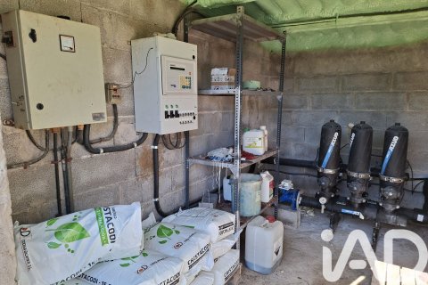 Propiedad comercial en venta en Ulldecona, Tarragona, Cataluña, Spain № 7428 - foto 14