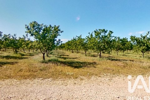Propiedad comercial en venta en Ulldecona, Tarragona, Cataluña, Spain № 7428 - foto 22