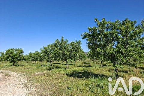 Propiedad comercial en venta en Ulldecona, Tarragona, Cataluña, Spain № 7428 - foto 23