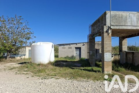 Propiedad comercial en venta en Ulldecona, Tarragona, Cataluña, Spain № 7428 - foto 15