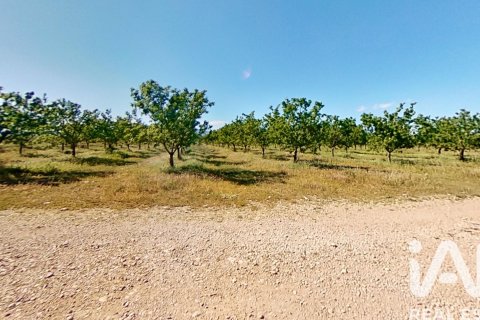 Propiedad comercial en venta en Ulldecona, Tarragona, Cataluña, Spain № 7428 - foto 5
