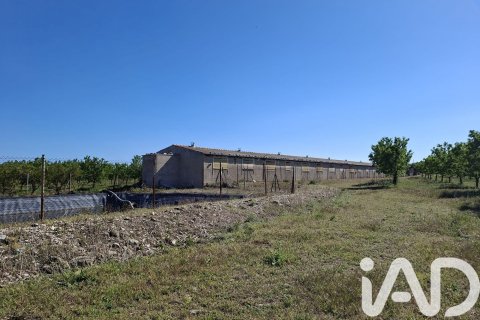 Propiedad comercial en venta en Ulldecona, Tarragona, Cataluña, Spain № 7428 - foto 8