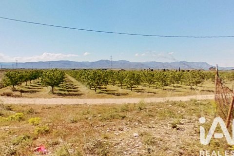 Propiedad comercial en venta en Ulldecona, Tarragona, Cataluña, Spain № 7428 - foto 29
