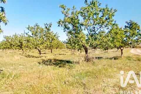 Propiedad comercial en venta en Ulldecona, Tarragona, Cataluña, Spain № 7428 - foto 30