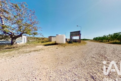 Propiedad comercial en venta en Ulldecona, Tarragona, Cataluña, Spain № 7428 - foto 16