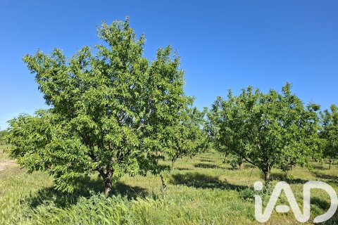 Propiedad comercial en venta en Ulldecona, Tarragona, Cataluña, Spain № 7428 - foto 24