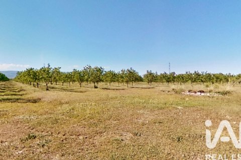 Propiedad comercial en venta en Ulldecona, Tarragona, Cataluña, Spain № 7428 - foto 18