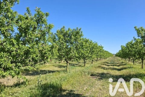 Propiedad comercial en venta en Ulldecona, Tarragona, Cataluña, Spain № 7428 - foto 2