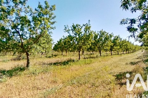 Propiedad comercial en venta en Ulldecona, Tarragona, Cataluña, Spain № 7428 - foto 21
