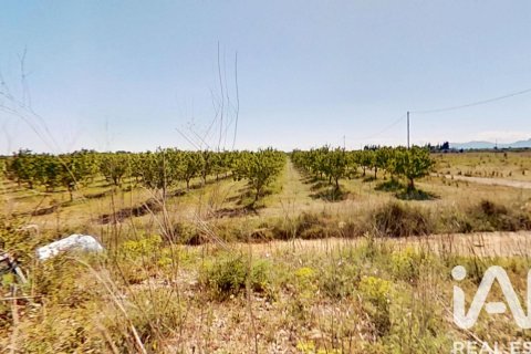 Propiedad comercial en venta en Ulldecona, Tarragona, Cataluña, Spain № 7428 - foto 19