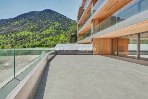 Apartamento de 4 dormitorios en venta en Principado De Andorra (Ninguna Poblacion Tiene C.P.), Lérida, Cataluña, Spain № 7737 - foto 5